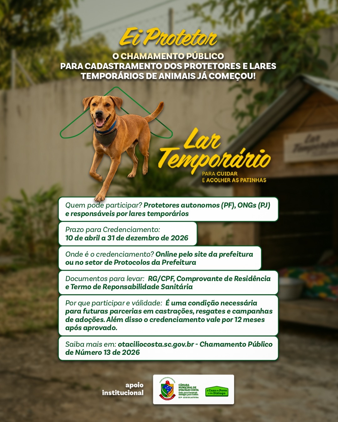 publicidade